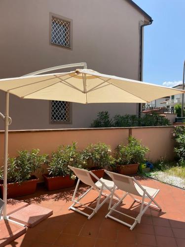 The Loft E&E Open Space — Empoli — photo 3