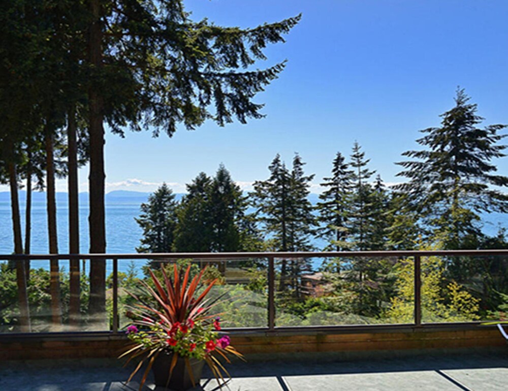 Sunshine Coast Treetop Wonderland in Sechelt, Canada