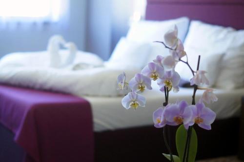 Hotel Fitromax Ajka — hotel in Ajka