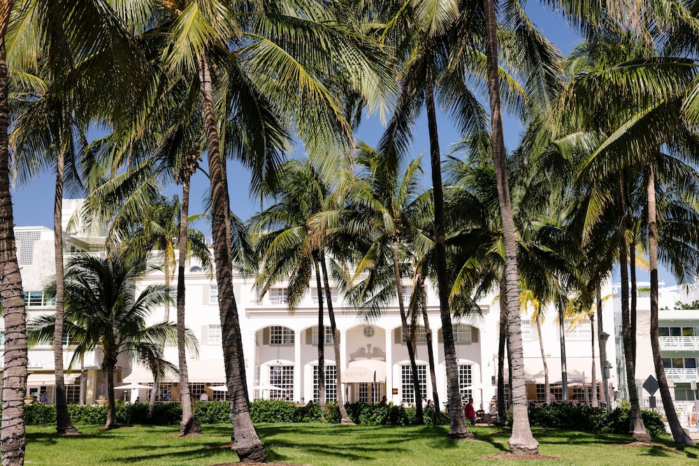 The Betsy Hotel South Beach - photo 110