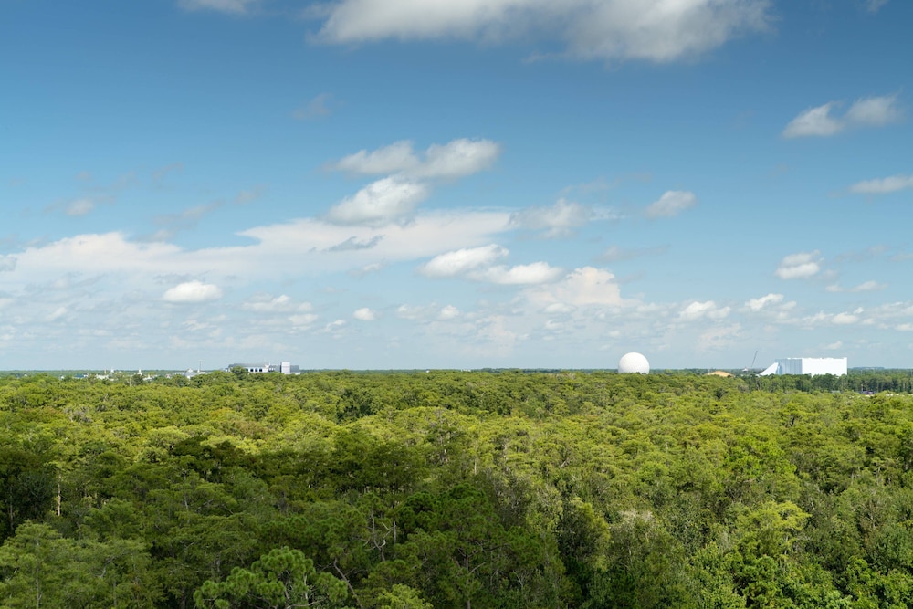 JW Marriott Orlando Bonnet Creek Resort & Spa - photo 20