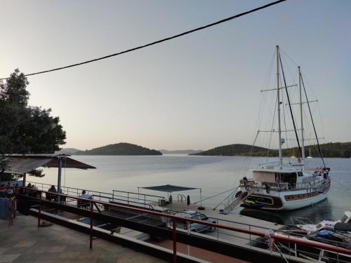 Pansion Alen Dugi otok in Sali, Croatia