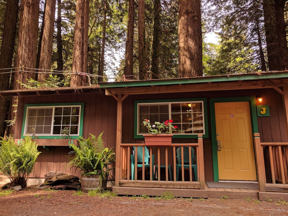Emerald Forest Cabins - photo 158