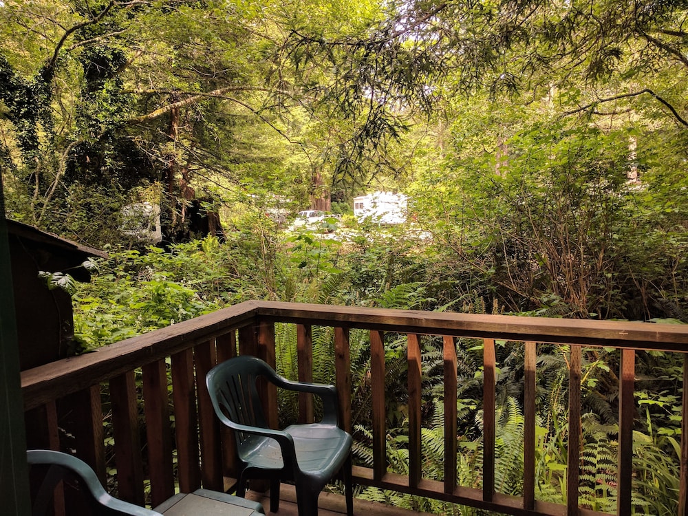 Emerald Forest Cabins - photo 80