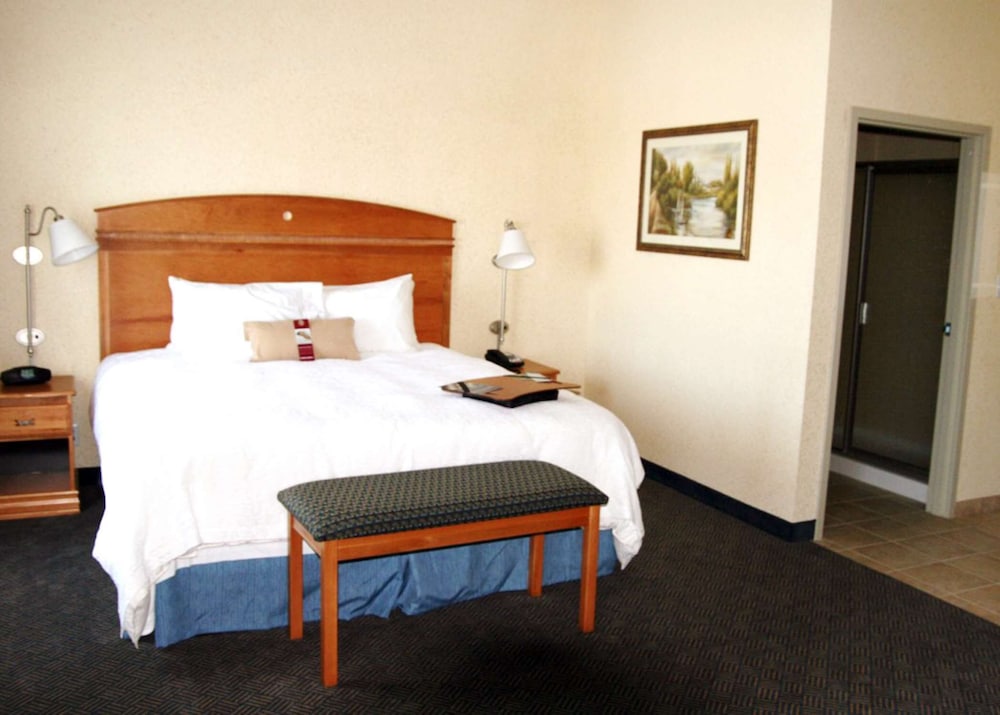Hampton Inn Dallas Rockwall - photo 20