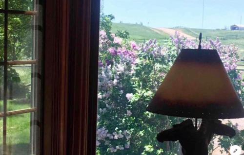 Sundance Suite Prairie Rose B&B - photo 44