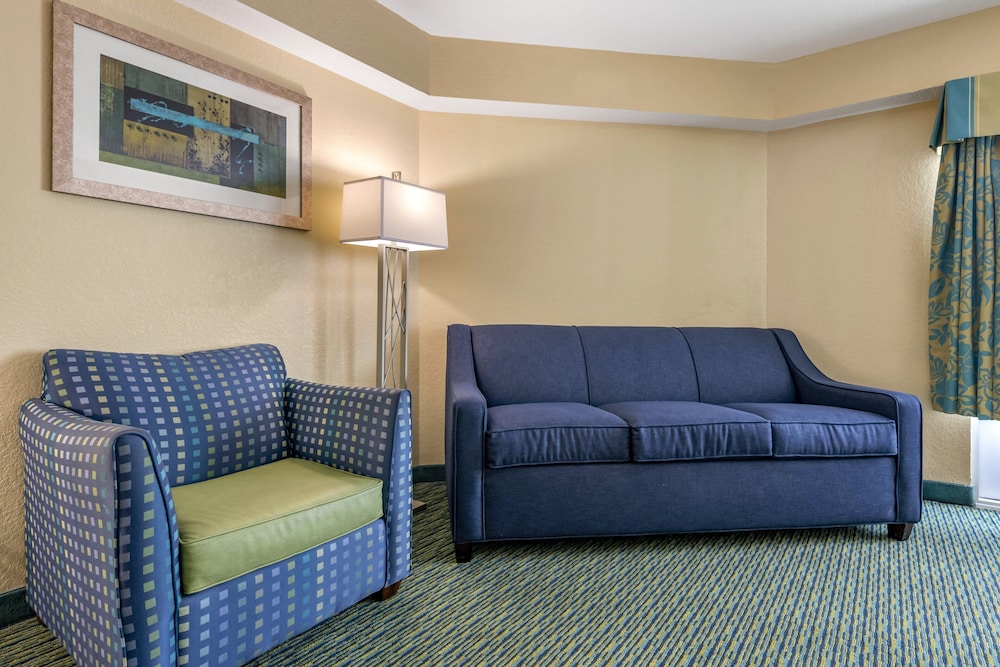 Holiday Inn Resort Orlando Lake Buena Vista by IHG - photo 14