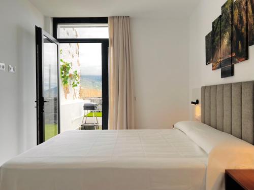 Getaway House — La Orotava — photo 3