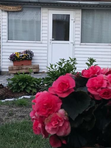 Dārza māja in Liepaja, Latvia