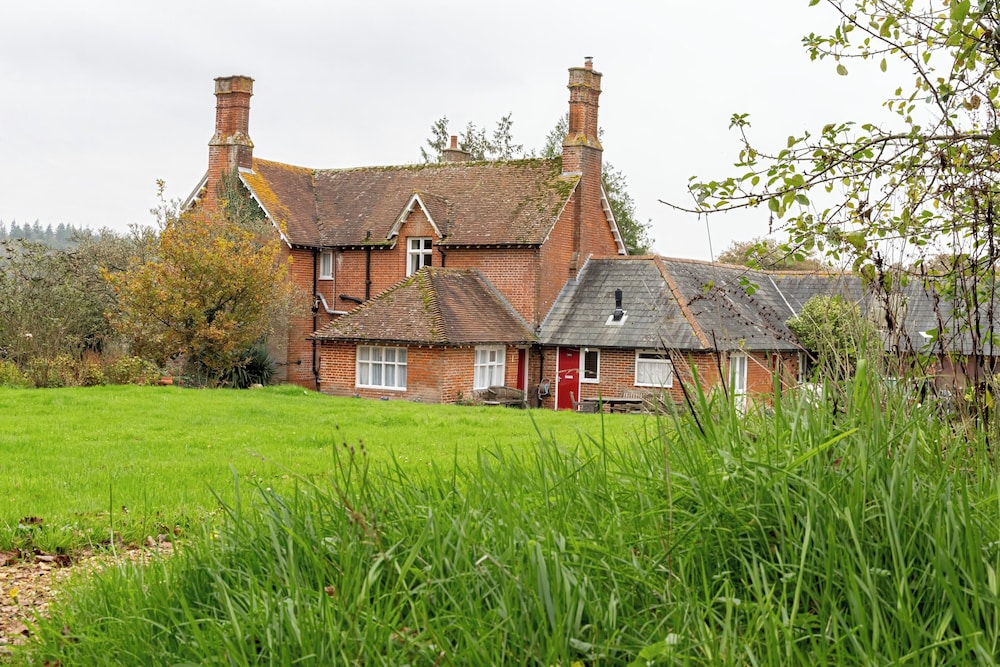 Tranquil Forest Retreat In Brockenhurst — Brockenhurst
