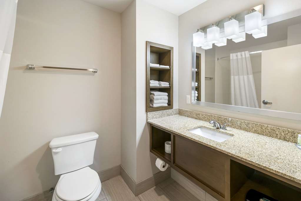 Quality Inn & Suites Carlsbad Caverns Area - photo 9