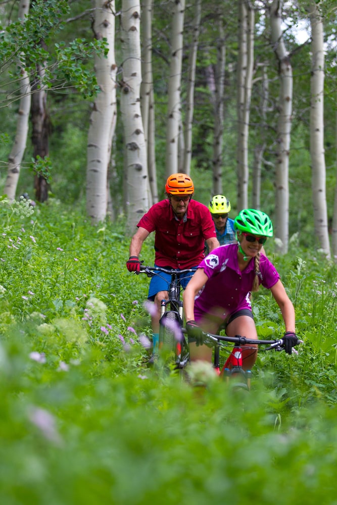 Teewinot Lodge by Grand Targhee Resort - photo 24