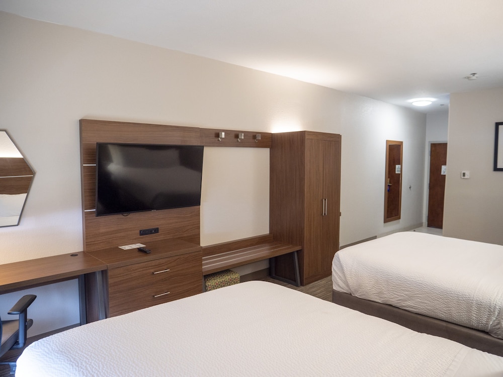 Holiday Inn Express & Suites Greenville Airport by IHG - photo 25