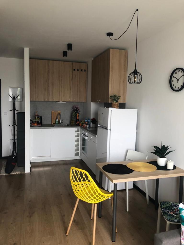 Apartament Pileckiego Nowy Dwor Mazowiecki Airport Modlin 24 H in Nowy Dwor Mazowiecki, Poland