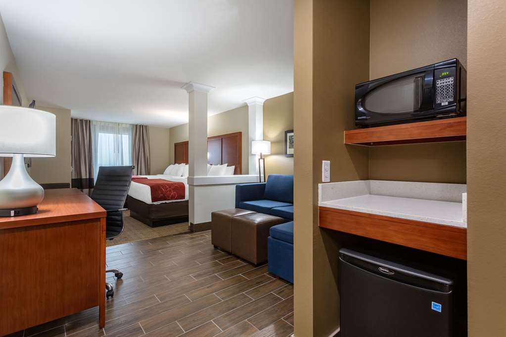 Comfort Suites Bowling Green Southeast - photo 10