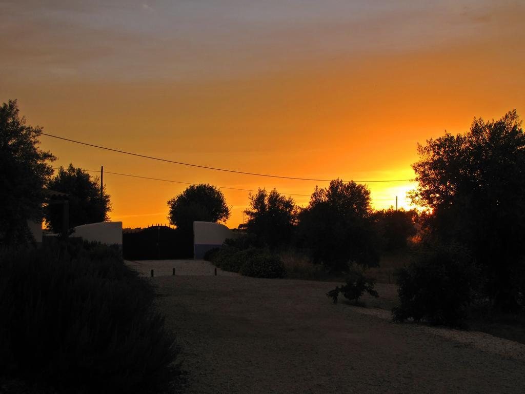 Quinta da Tapada de São Pedro Turismo Rural — hotel in Arraiolos