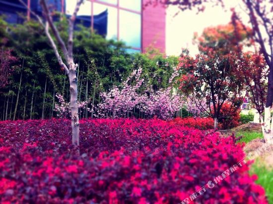 Dongrong Boutique Hotel in Chizhou, People's Republic of China