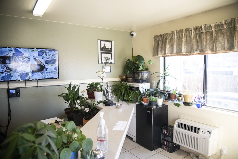 The Virginian Motel - photo 3