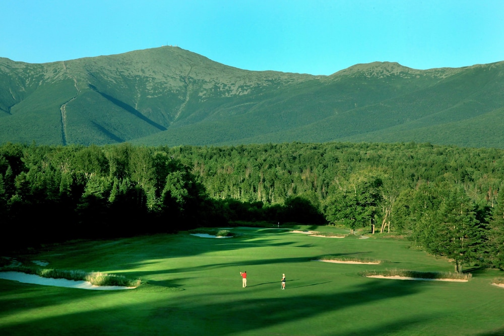 Omni Mount Washington Resort & Spa - photo 80