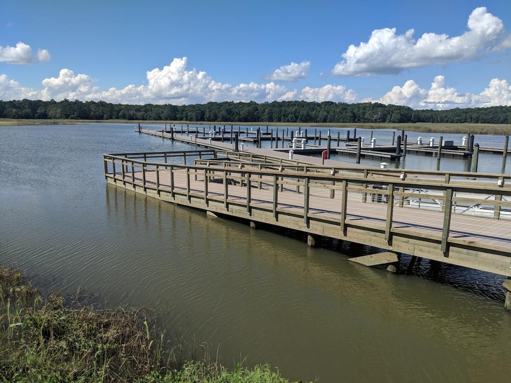 Surry Seafood Company - photo 24