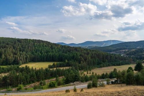 Family 4M in Zlatibor, Serbia