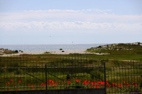 Aparthotel Alexander in Dolni Chiflik, Bulgaria