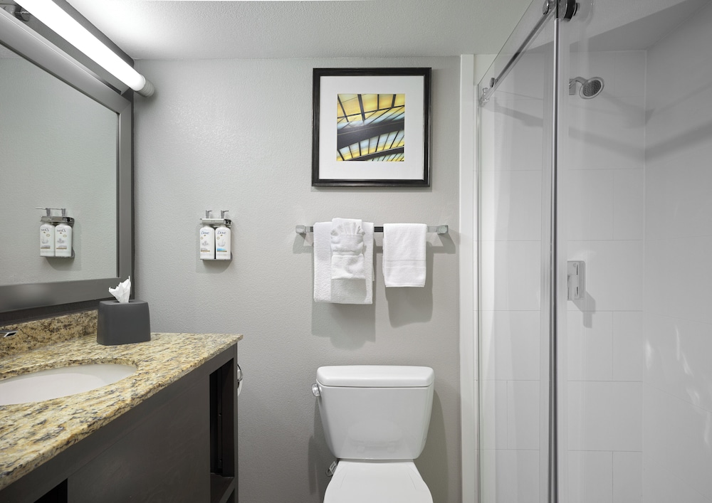 Holiday Inn St Louis SW Route 66 - photo 33