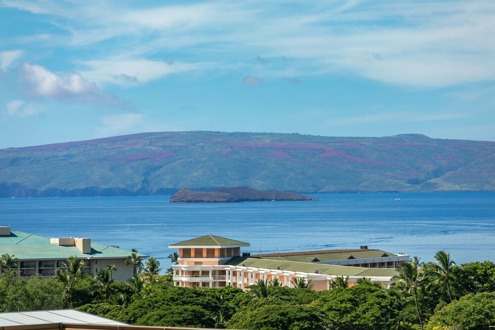 Wailea Ekolu #501 - photo 13