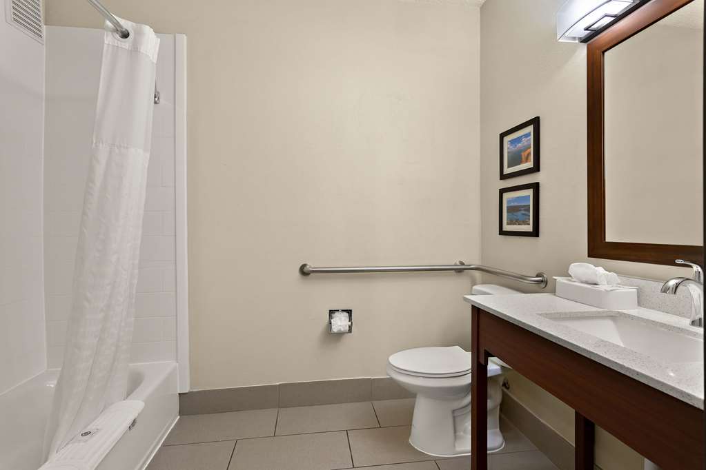 Comfort Suites University Las Cruces - photo 21