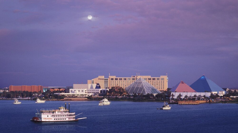 Moody Gardens Hotel Spa and Convention Center - photo 74