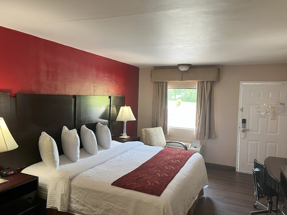 Pine Tree Inn - photo 12