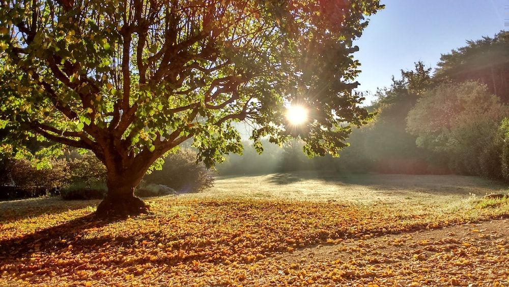 Mas De Cocagne En Provence — Malaucene