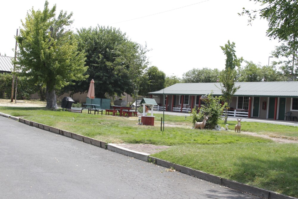 Jumping Frog Motel - photo 25