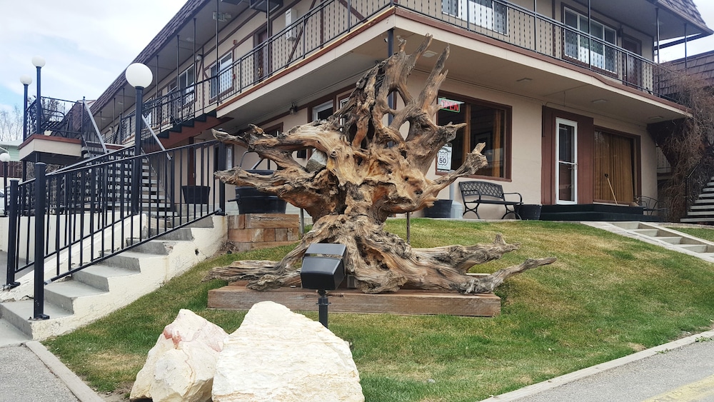 Bristlecone Motel - photo 57