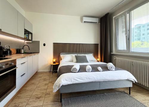 New cozy studio AC & Balcony — 4-Star Luxury Hotel in Bratislava, Slovakia