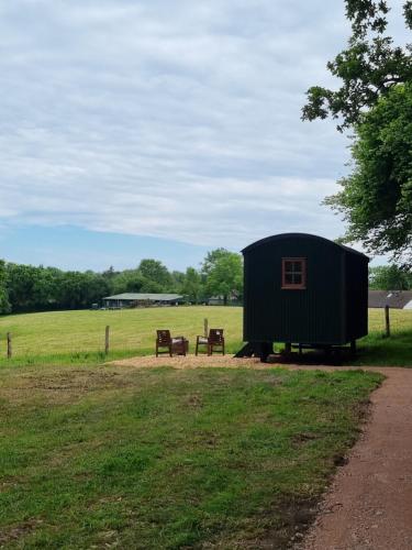 Cosy Shepherds Hut Lyme Regis Cummins Farm in Bridport, United Kingdom
