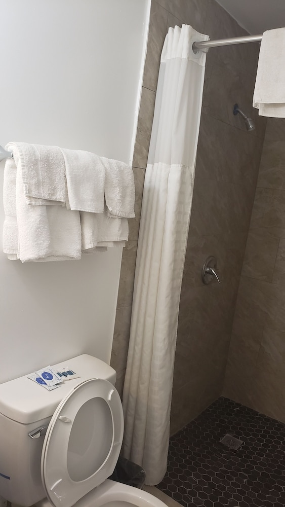 Alamo Motel - photo 13