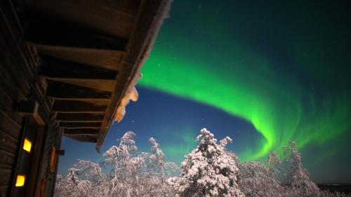 Arctic Giant — hotel in Paltamo