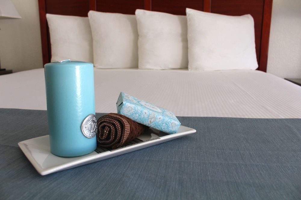 Pacific Inn and Suites - photo 9