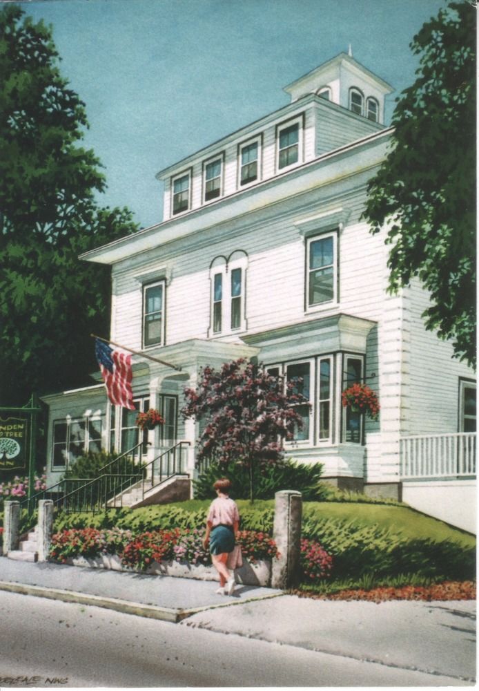 The Linden Tree Inn - carbon neutral hotel in Rockport