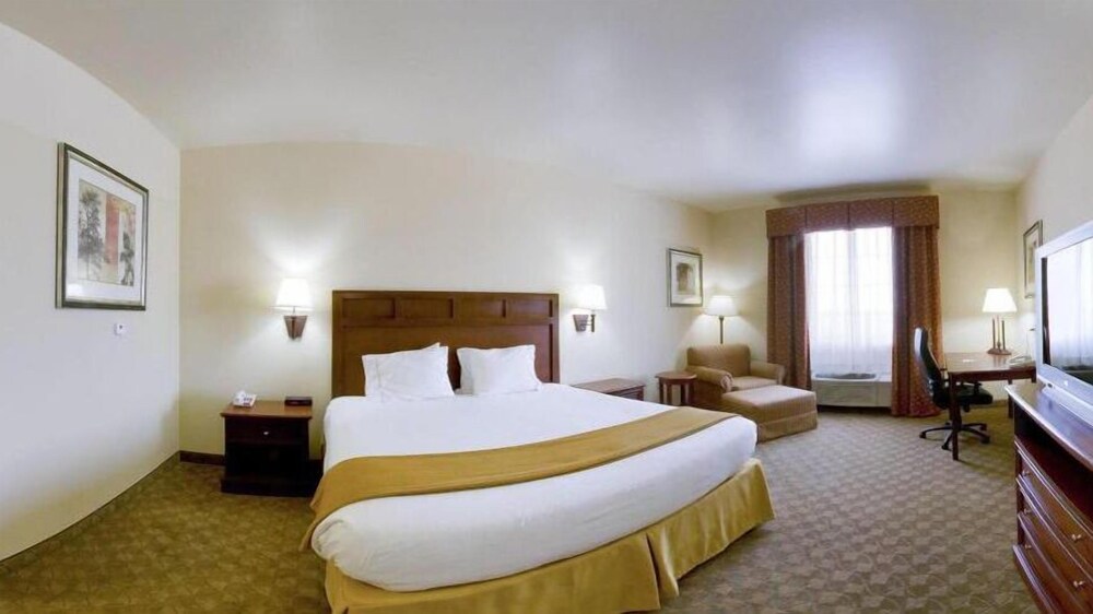 Holiday Inn Express & Suites Levelland by IHG - photo 6