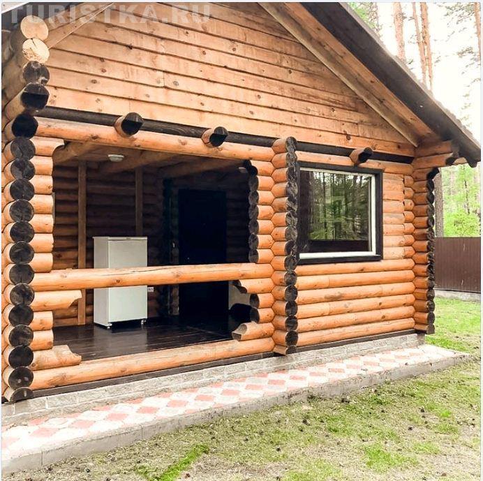 Primula in Unknown City, Russia