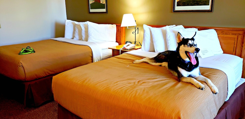 Lodging on the Square - photo 81