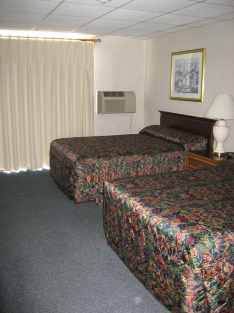 Sea Whale Motel - photo 8