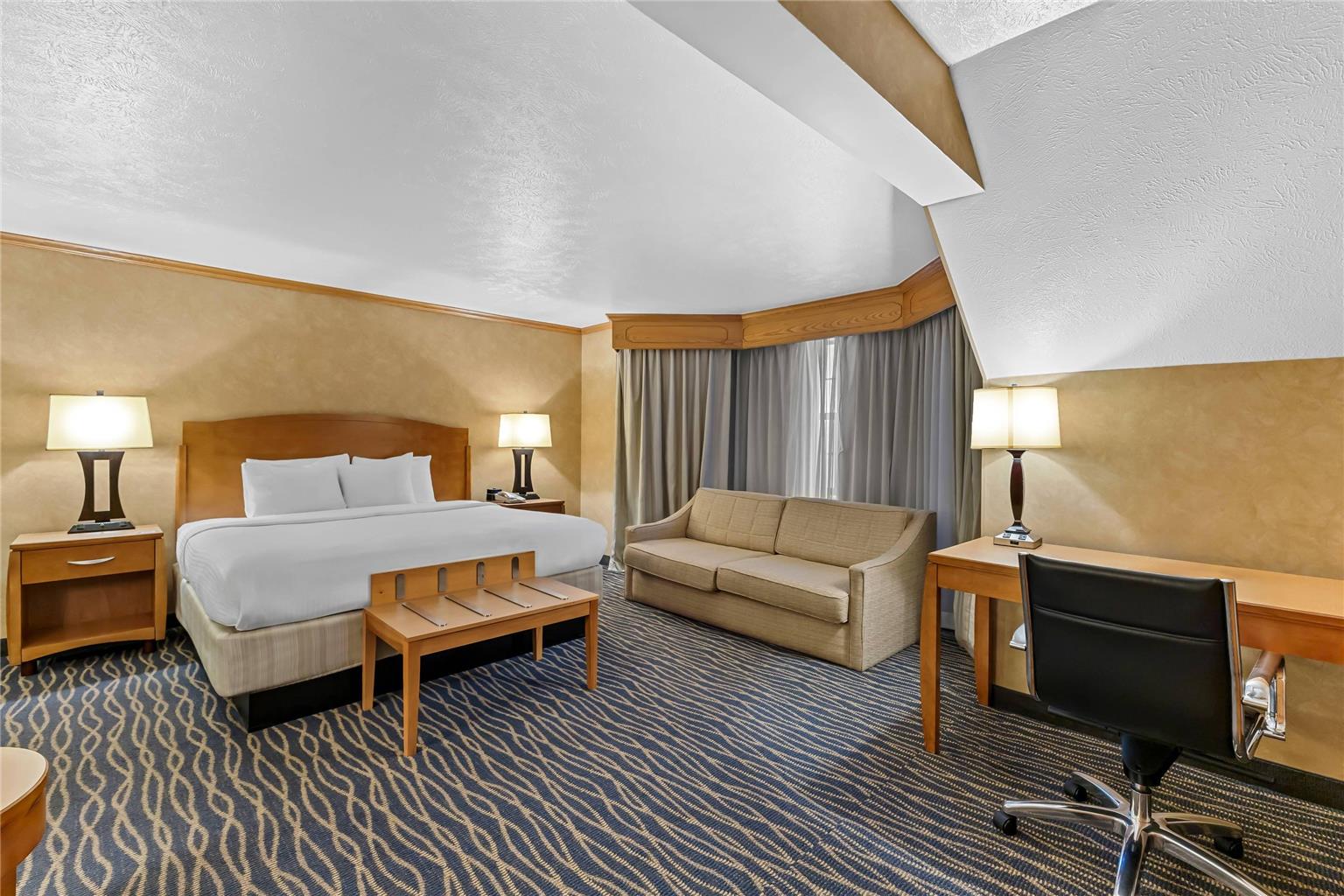 Radisson Hotel Salt Lake City Airport - photo 78