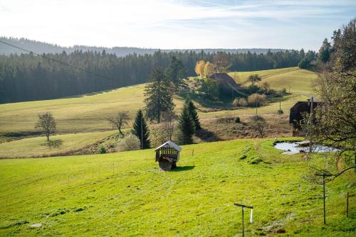 3 Fewos mit Eventraum — Hornberg — photo 5