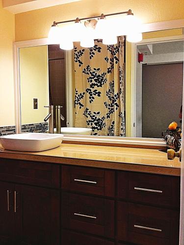 Hawaiian Monarch Ph303 in Honolulu, United States