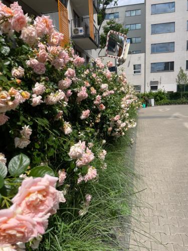 cybernetyki2 INN near airport — hotel near Warsaw Chopin Airport