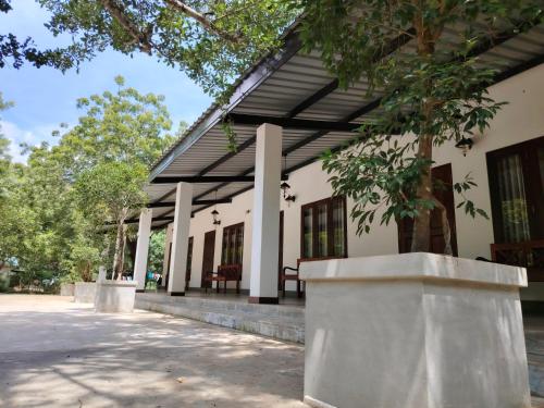 Flying Peacock Yala Katharagama in Kataragama, Sri Lanka