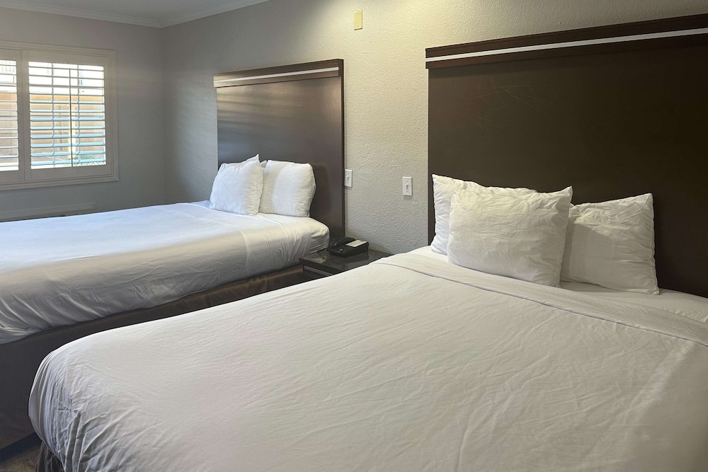 Rodeway Inn National City San Diego South - photo 14